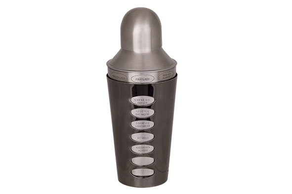 Shaker + recettes inox - 550ml